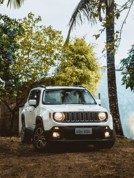Car Rentals